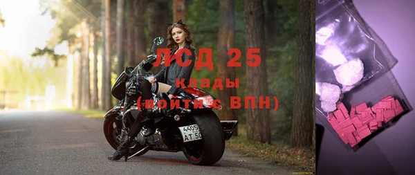 ГАЛЛЮЦИНОГЕННЫЕ ГРИБЫ Михайловск