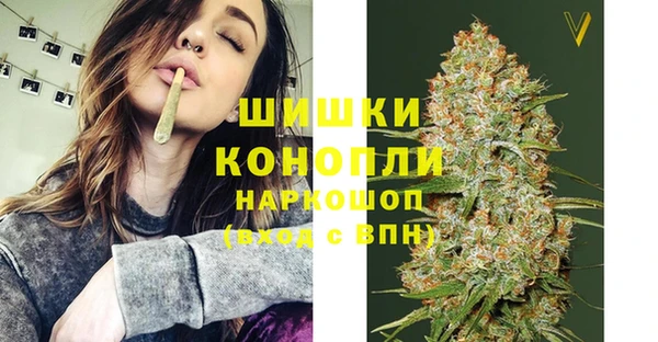 ГАЛЛЮЦИНОГЕННЫЕ ГРИБЫ Михайловск