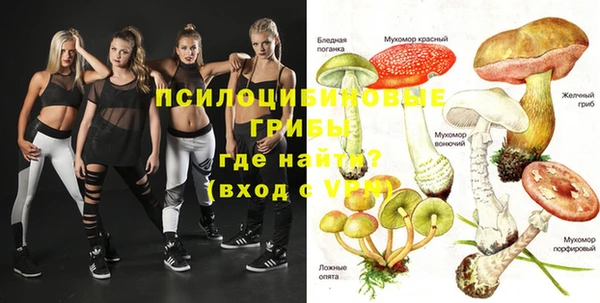 мяу мяу мука Михайлов