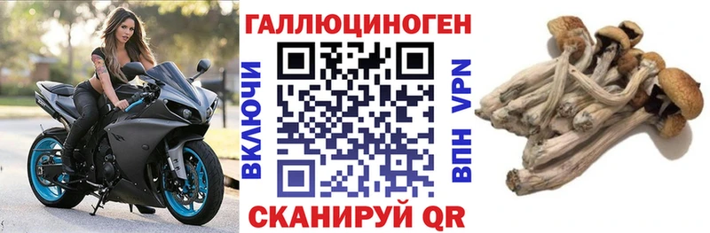 Псилоцибиновые грибы MAGIC MUSHROOMS  Купить закладки  Россошь 