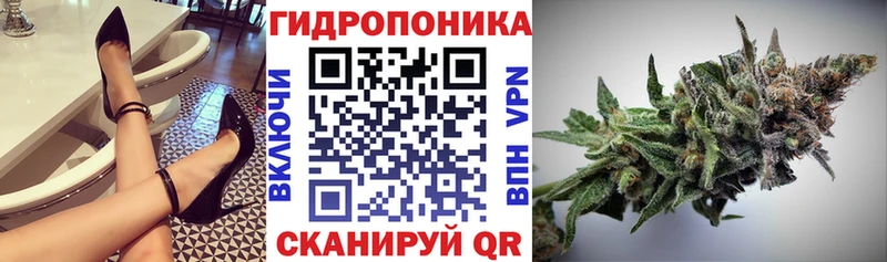 Шишки марихуана SATIVA & INDICA  Купить где  Россошь 